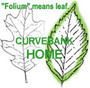 Leaf "home" button